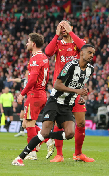 自然是一项 自然是一项