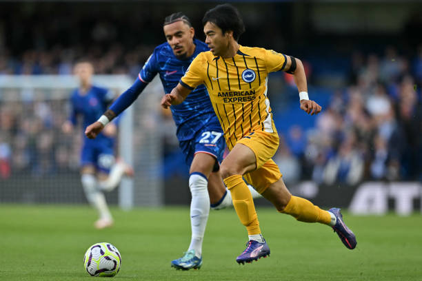 坚实的后盾 坚实的后盾