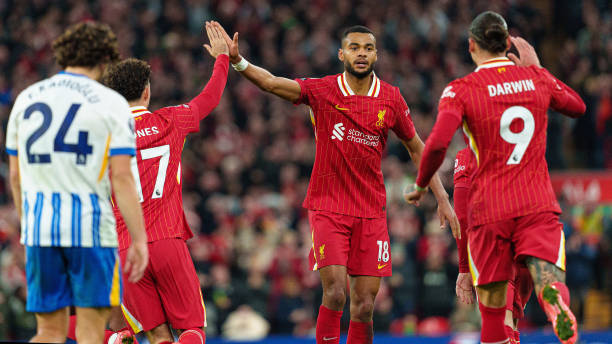 生动演绎 生动演绎