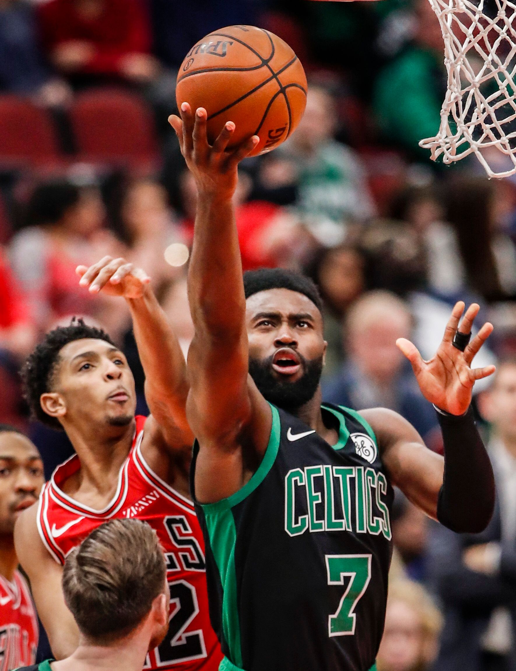 的适配性分 的适配性分