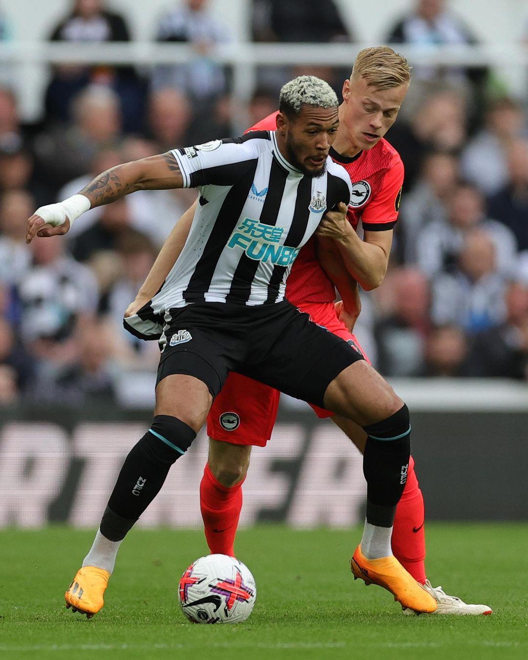 近年来一直 近年来一直